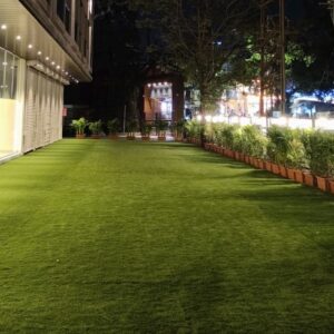 Lawn 1